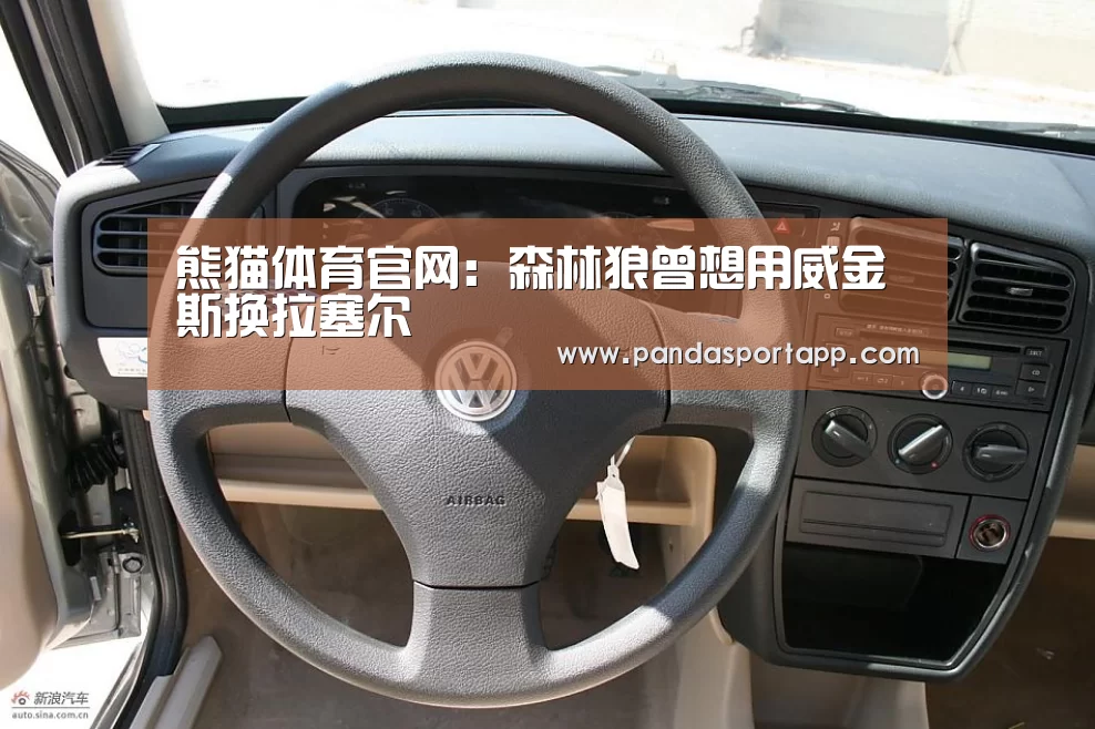 熊猫体育官网:森林狼曾想用威金斯换拉塞尔(图3) 熊猫体育