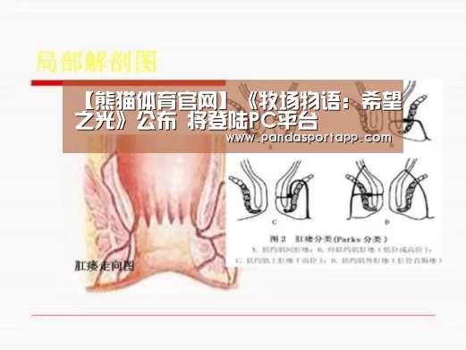 【熊猫体育官网】《牧场物语:希望之光》公布 将登陆PC平台(图1) 熊猫APP