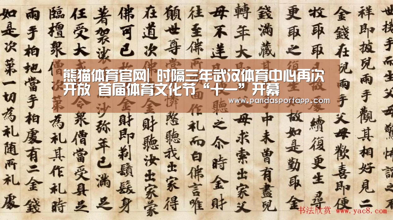 熊猫体育app